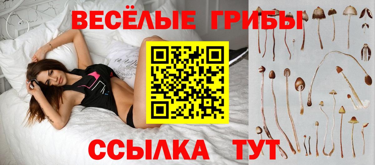 Стрежевой  Галлюциногенные грибы мухоморы  Галлюциногенные грибы ЛСД  Вход с VPN 
